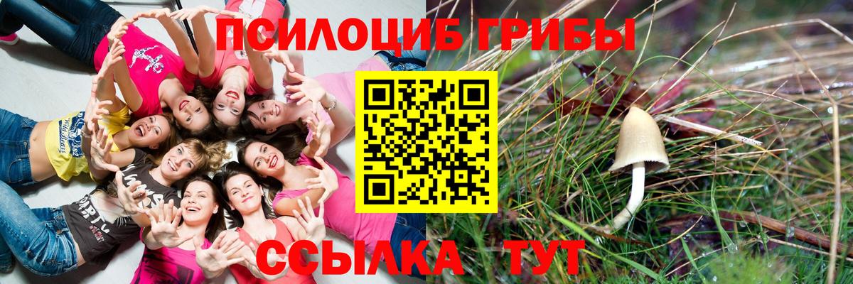 Галлюциногенные грибы Psilocybine cubensis Электросталь